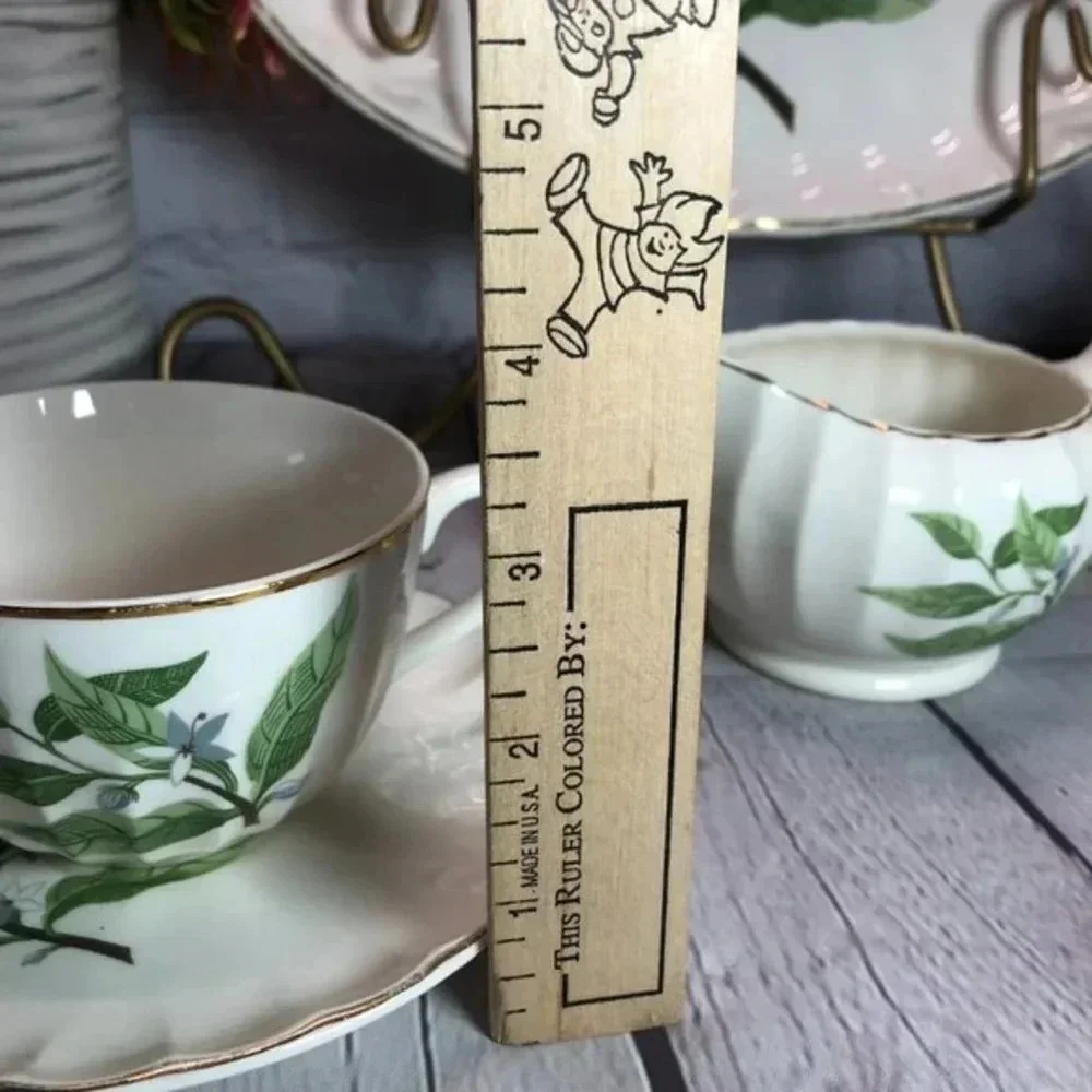 vtg 1950s W.S. GEORGE Bolero Dinnerware Cottagecore floral mid-century classic